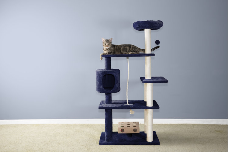 Best cat trees best sale